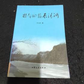 枪声回荡辰清河