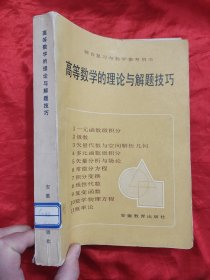 高等数学的理论与解题技巧（16开）