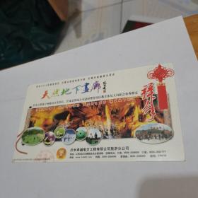 2009年中国邮政贺年（有奖）天然地下画廊企业金卡明信片-