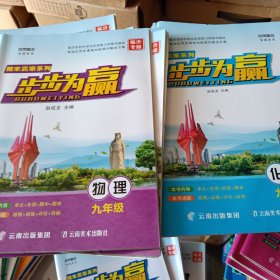 步步为赢物理九年级上册（临沂专版）--