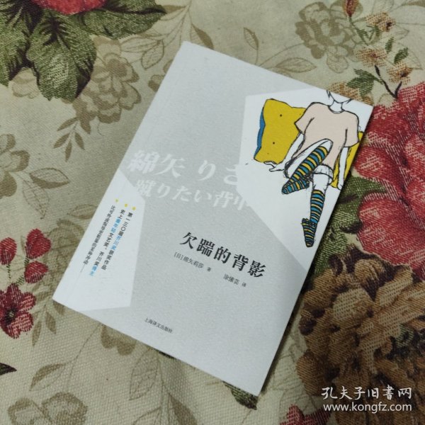 欠踹的背影：绵矢莉莎作品系列