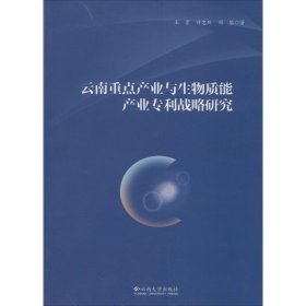 云南重点产业与生物质能产业专利战略研究