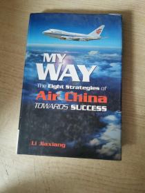 MyWay:TheEightStrategiesofAirChinaTowardsSuccess