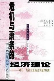 危机与萧条的经济理论：对日、美及东亚经济衰退的剖析——现代日本社会科学名著译丛