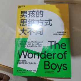 男孩的思维方式大不同：读懂你的男孩，让每次养育危机化为成长契机