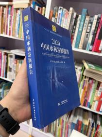 2020中国水利发展报告