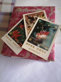 踊跃储蓄  支援四化 中国人民银行北京市分行卡片三张