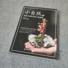 小自然：盆栽大师的无盆小品植栽