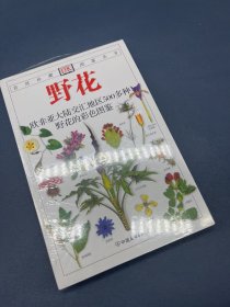 欧洲花卉：地中海沿岸地区500多种野花的彩色图鉴