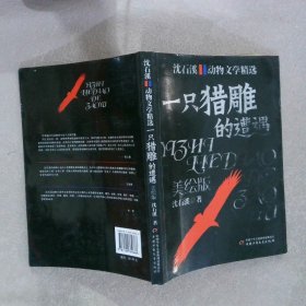 一只猎雕的遭遇美绘版动物文学精选 沈石溪 9787500789666 中国少年儿童出版社