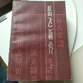 尽忠报国：岳飞新传