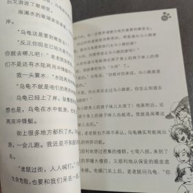 能闻出孩子味儿的乌龟