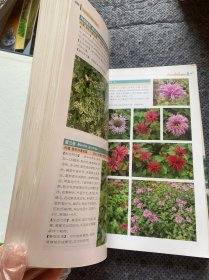 园林景观植物图鉴（下册）