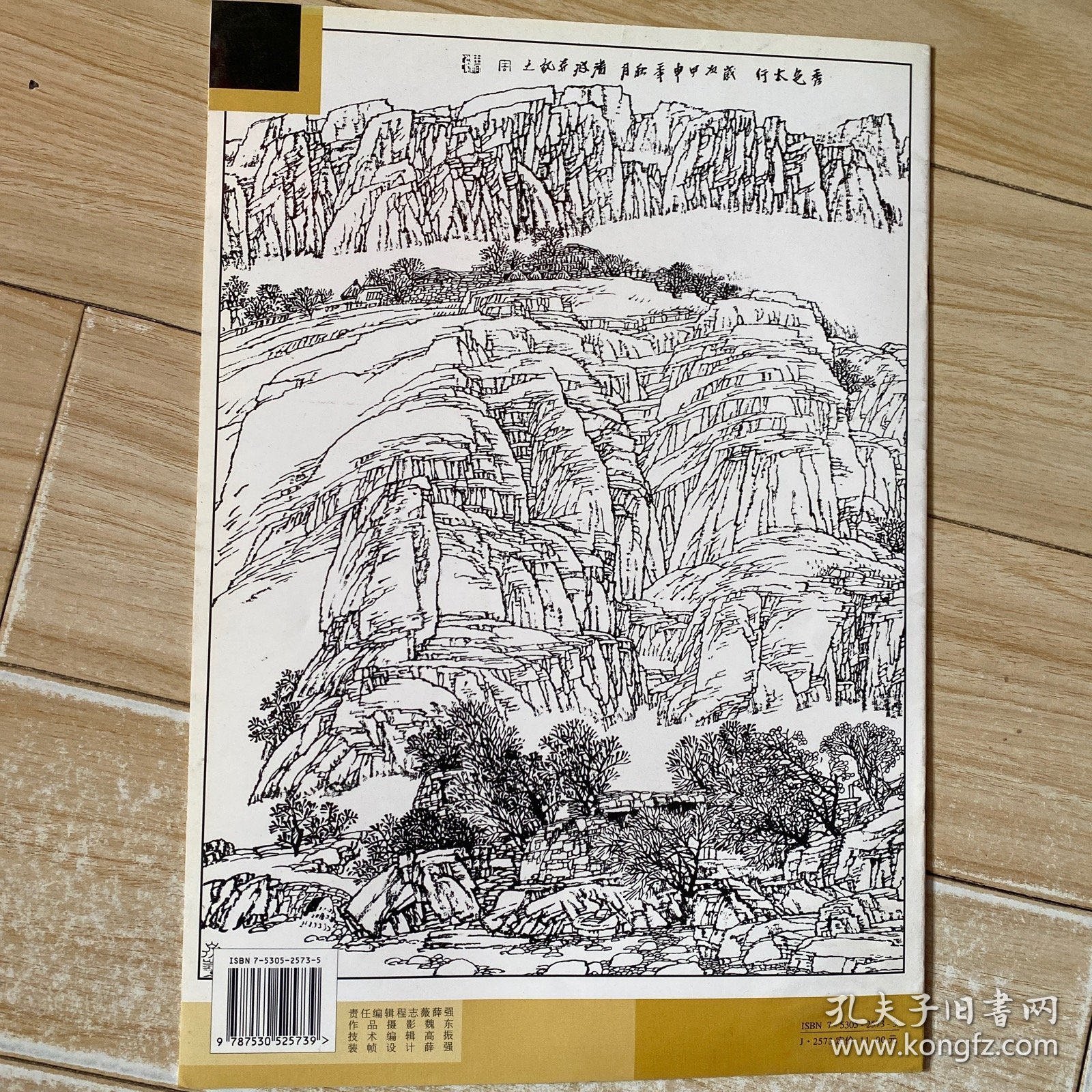 工笔线描：太行山——国画参考临习摹拓丛书（书有受潮发黄）