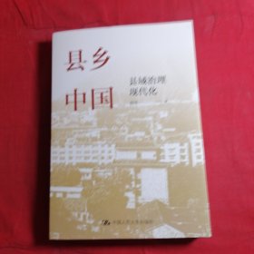 县乡中国：县域治理现代化