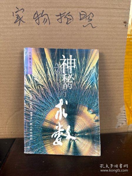 神秘的术数：中国算命术研究与批判