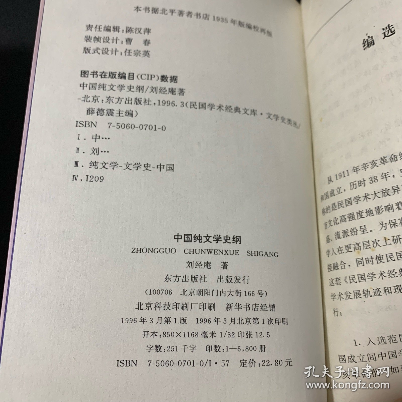 中国纯文学史纲