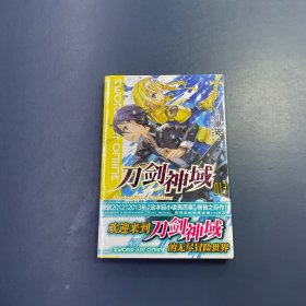 刀剑神域 13
