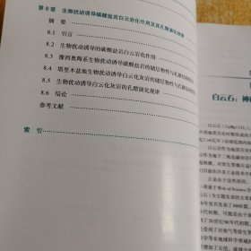 白云石成因、特征环与境影响