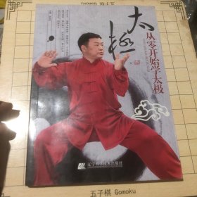 从零开始学太极