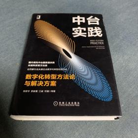 中台实践：数字化转型方法论与解决方案