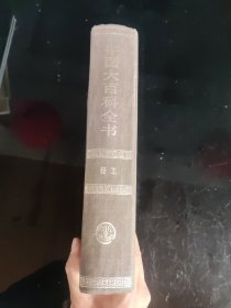 中国大百科全书 轻工（精装）