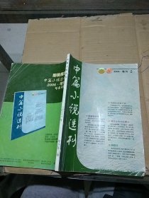 中篇小说选刊2006增刊2