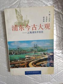 浦东今古大观:上海浦东开发区