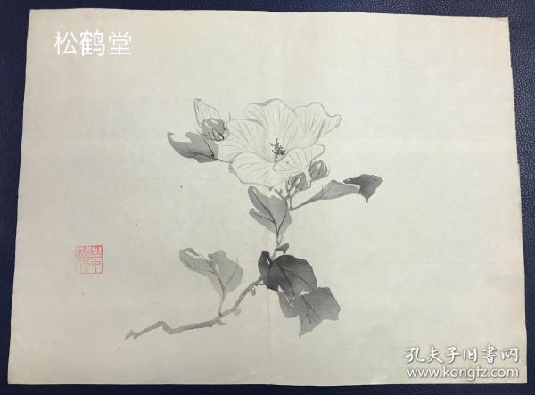 《花卉》1组5件合售，日本老旧版画，木版水印，有实钤印款，“华顶”款，单色墨刷，墨色浓淡得体，轮廓清晰，版面素雅优美，画工，印工均一流，颇有年头之物。