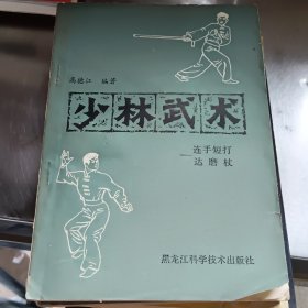 少林武术