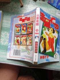 流星花园漫画1-6（全6册）