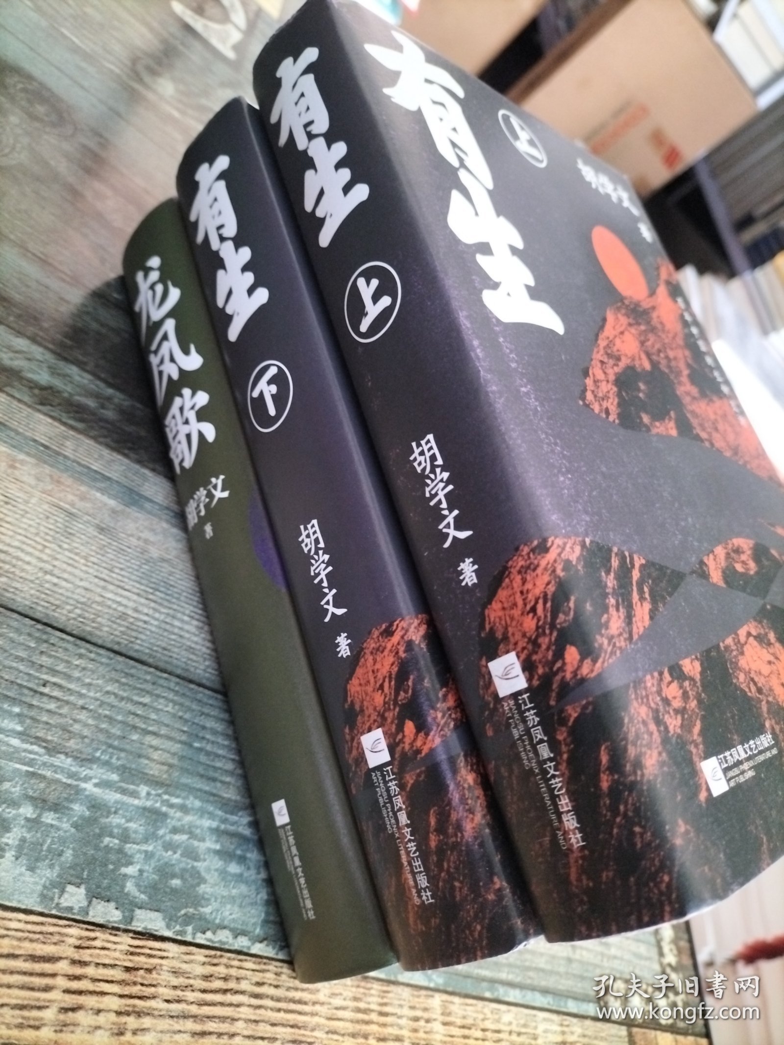 胡学文作品：龙凤歌+有生