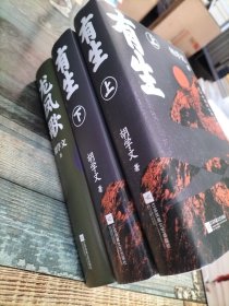 胡学文作品：龙凤歌+有生