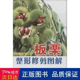 板栗整形修剪图解 种植业 张铁如