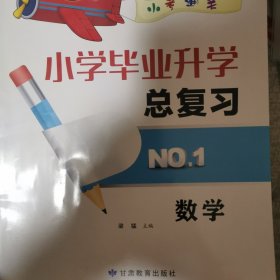 小学毕业升学总复习数学