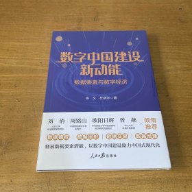 数字中国建设新动能：数据要素与数字经济【全新未开封实物拍照现货正版】