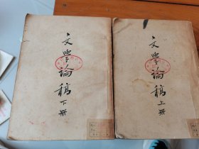 文学论稿（上下册）