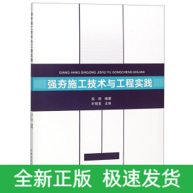 强夯施工技术与工程实践