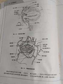 美容外科应用解剖图谱 精装