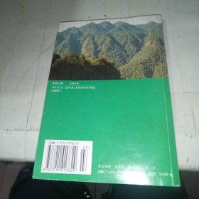 天下第一山
