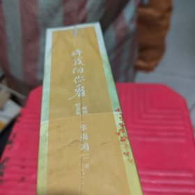 许我向你看：插图纪念版
