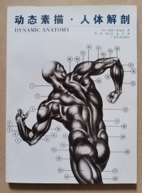 动态素描.人体解剖