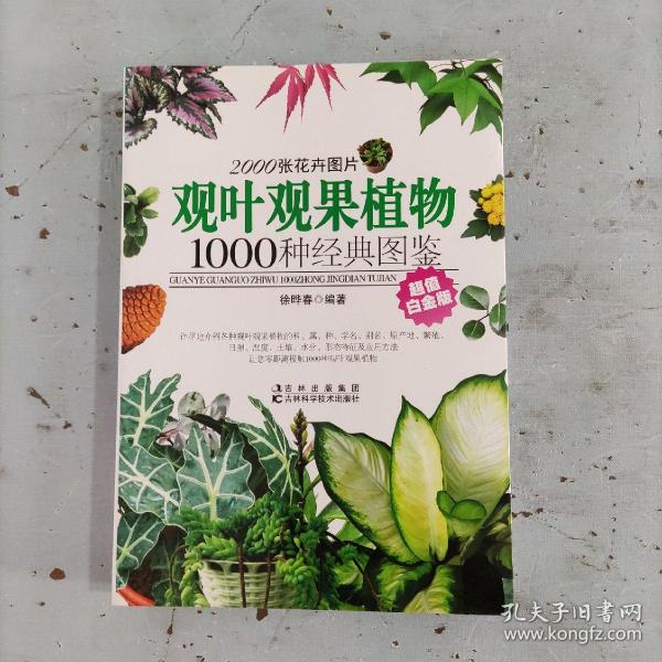 观叶观果植物1000种经典图鉴（超值白金版）