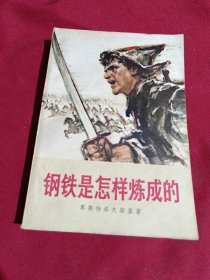钢铁是怎样炼成的，人民文学出版社，1976年北京第1版，1977年上海第1次印刷，私家藏书，实物拍摄，品相非常完美