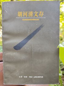 胡河清文存