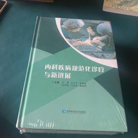 内科疾病规范化诊疗与新进展（精装）