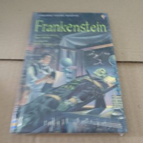Frankenstein 科学怪人：弗兰肯斯坦