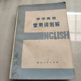 中学英语常用词例解