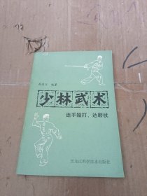 少林武术 联手短打 达磨杖