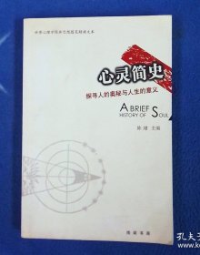 心灵简史：探寻人的奥秘与人生的意义